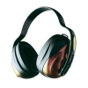Hearing Protection