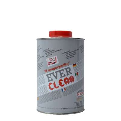 Oil-water repellent protective agent Ever Clean General